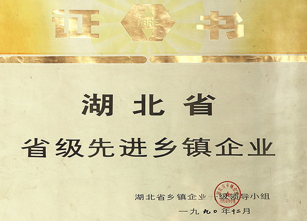 省級先進(jìn)鄉(xiāng)鎮(zhèn)企業(yè)