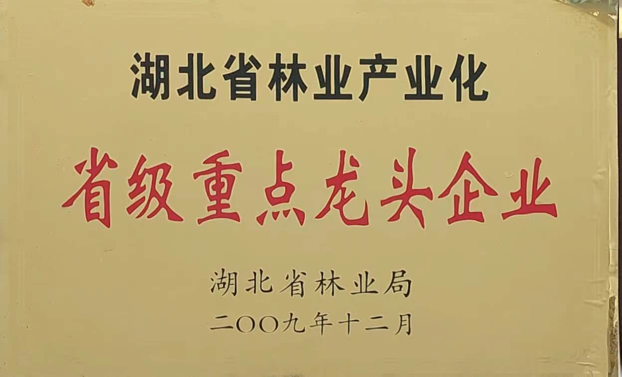 省林業(yè)產(chǎn)業(yè)化重點龍頭企業(yè)（2009）